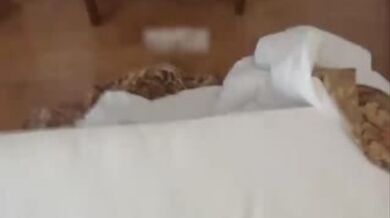 天堂哥与大蜜女神约拍全记录的啊